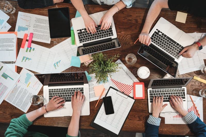 Top-down view of a team using laptops and analyzing garden business data on a wooden table.